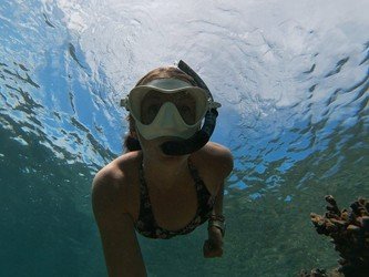 Best Big Island Snorkel f-6