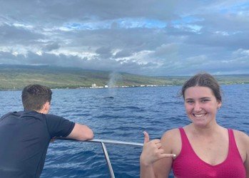Best Big Island Whale Watch f-2