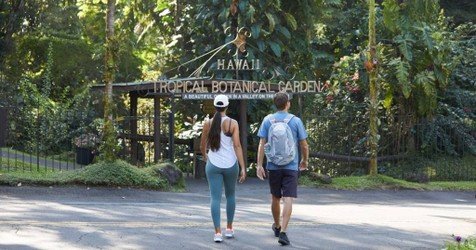 Big Island Waterfalls Adventure f-3