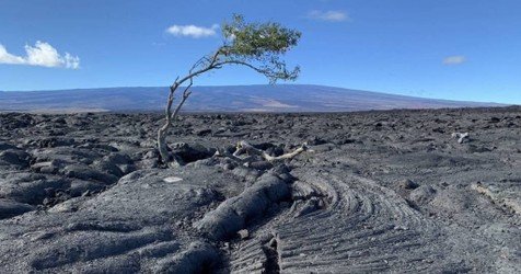 Big Island Waterfalls Adventure f-6