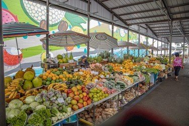 Botanical Gardens, Waterfalls, and Farmers Market f-6