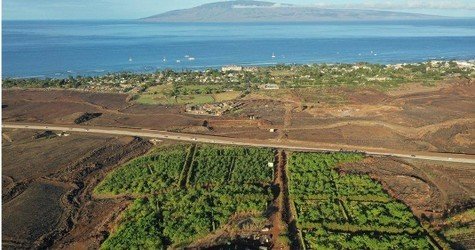 Exclusive Guided Cacao Farm Tour f-4