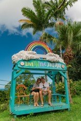 Full Day Vip Road To Hana Private Tour With Pickup F-7