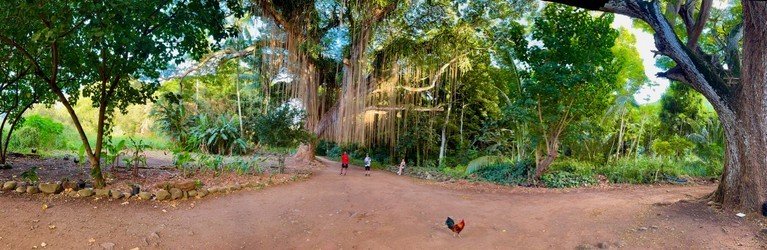Locals' Favorites Private Maui Tour f-1