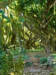 Locals' Favorites Private Maui Tour f-7