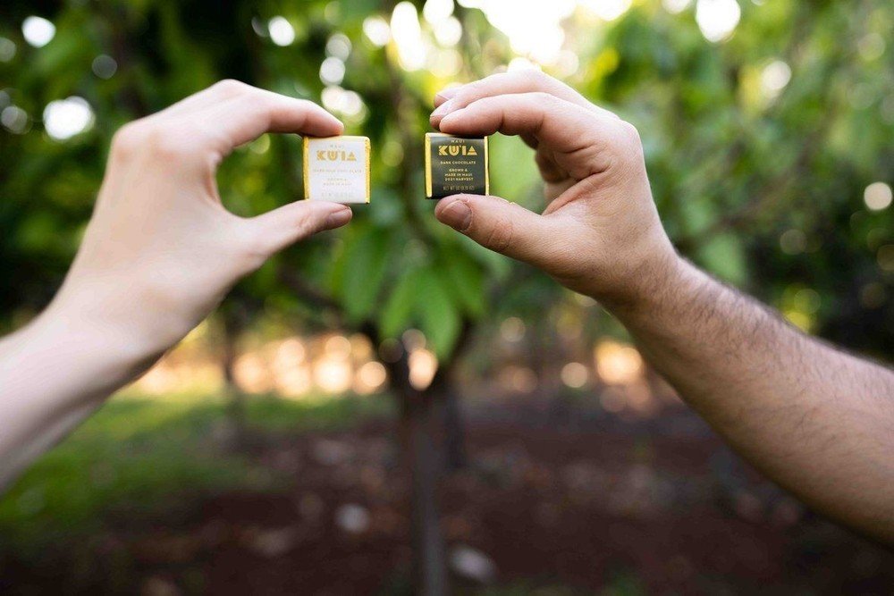 Maui Nonprofit Chocolate Factory Experience