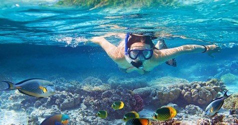 Maui-Ocean-Rentals-FareHarbor-Maui-Ocean-Action-Private-SUP-Tours-Snorkel