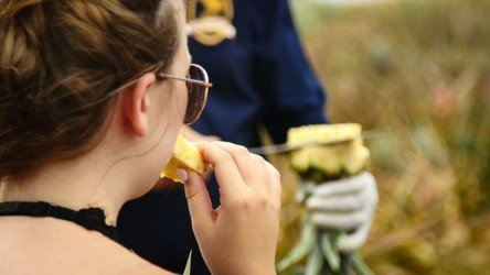 Many ripe pineapples as background