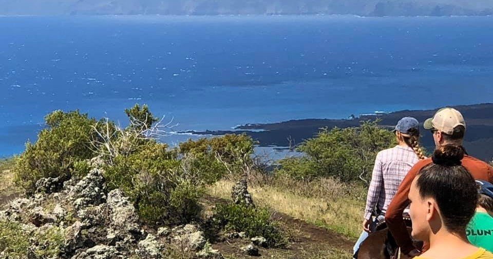 Open Range All Inclusive Lunch Tour - Three and a Half Hours