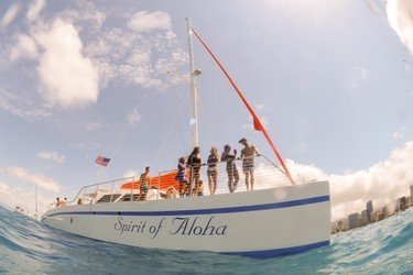Kona Turtle Snorkel Sail with Lunch f-3