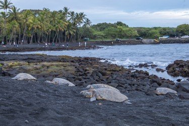 The Full Circle Big Island Tour f-2