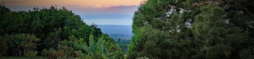 Meet the Tea Tour f-1