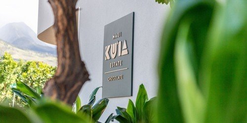 mail-chimp-banner-f-2