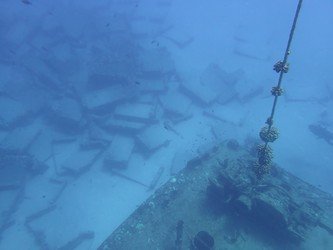 3 Tank West Side Dive Charter f-3