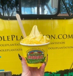 AllStar Oahu Circle Island Tour f-19