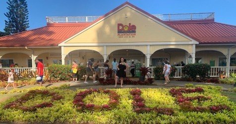 AllStar Oahu Circle Island Tour f-3