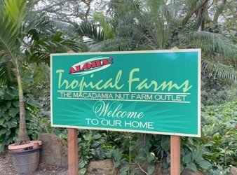 AllStar Oahu Circle Island Tour f-5