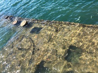 Arizona Memorial & Custom Tour f-2