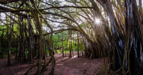 Complete Island Adventure with Sunrise f-7