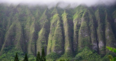 Complete Island Adventure with Sunrise v-4