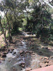 Diamond Head Crater & East Side Beach Day f-2