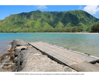 Kayaking Rainforest River on Oahu, Kahana River f-2
