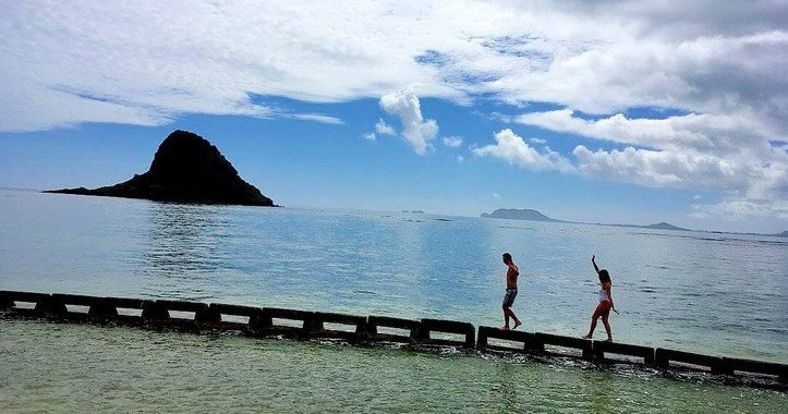 Oahu Circle Island Tour – Half Day (6HR) f-1