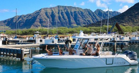 Oahu-Dolphin-Swim-139