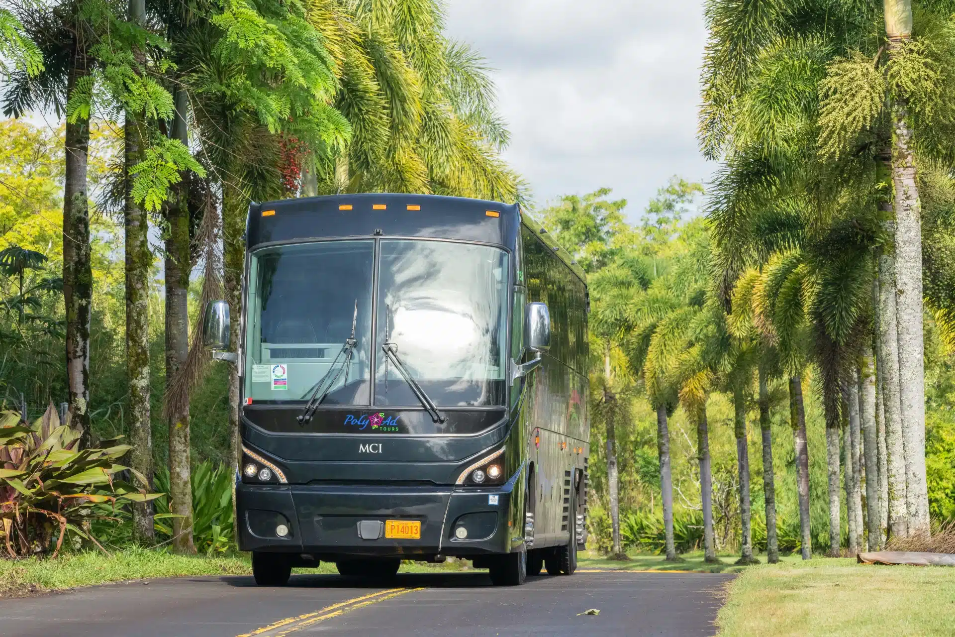 Oahu Bus Tours and activity