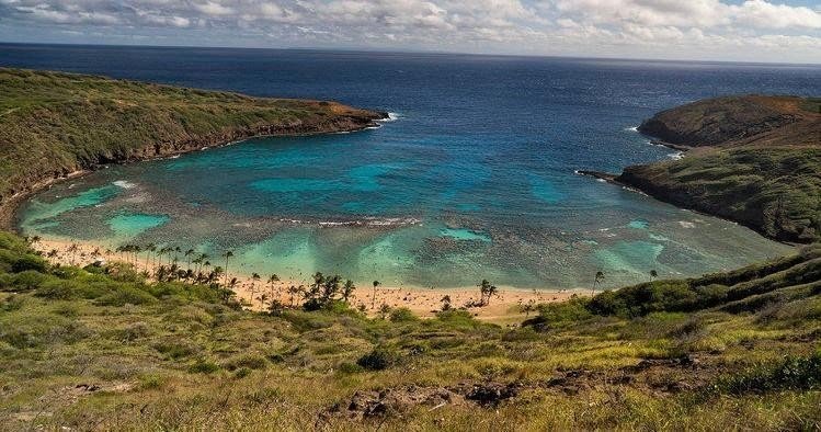 Private Tour – Best of Oahu Sightseeing f-1