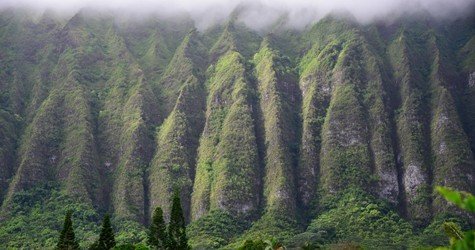 Sunrise Tour with Malasadas f-3