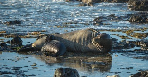 Sunrise Tour with Malasadas f-5