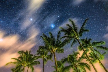 Palm trees against starry night sky, shot diagonally with perspective from below