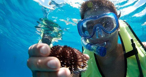 Waikiki Turtle Snorkel Sail f-1