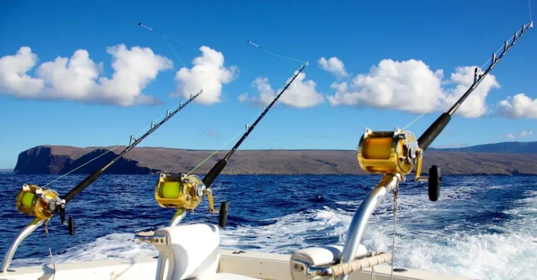 3 4 Day Charter Glacier Bay f-1