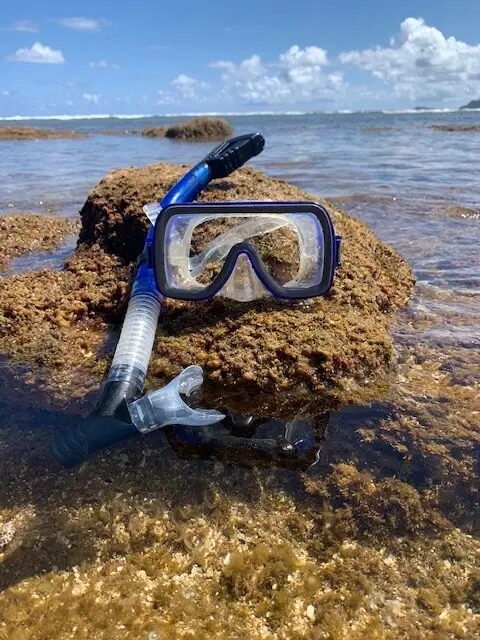 Adult Dry Snorkel+ Mask f-1