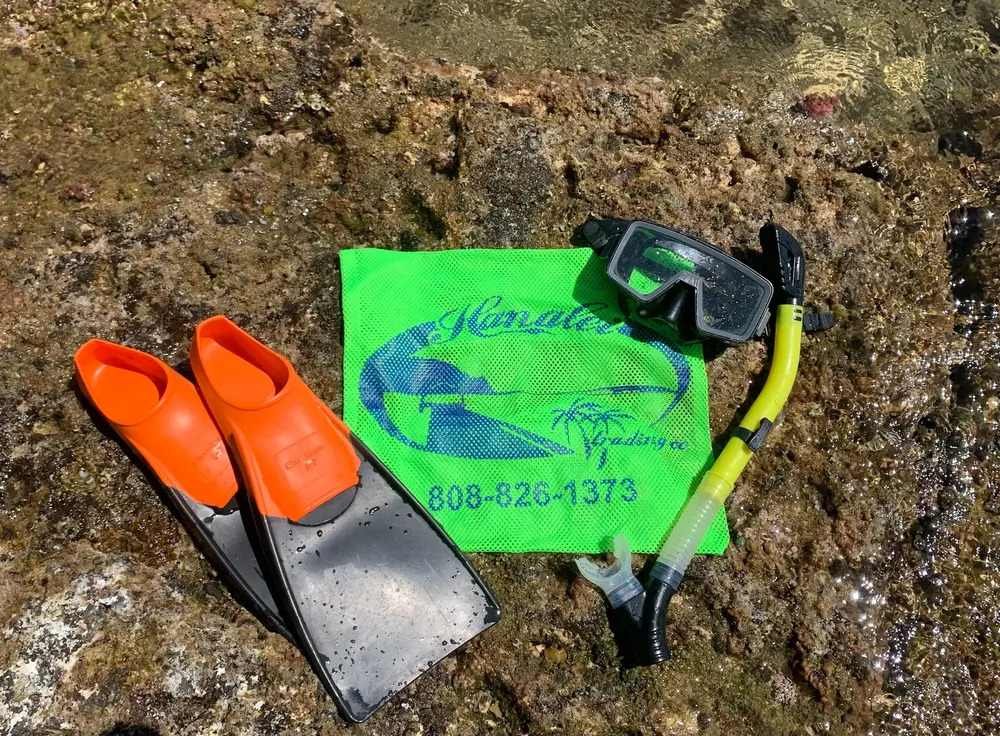 Adult Snorkel Set f-1