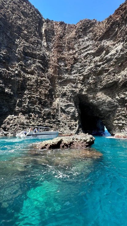 Deluxe Morning Magic f-6