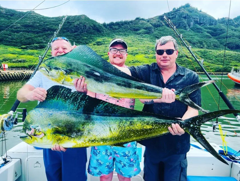 Half-Day Charter Glacier Bay f-8