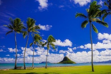 Beautiful Chinaman's Hat in Hawaii