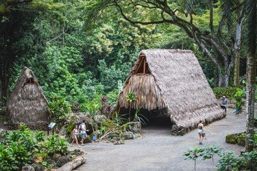 Hidden Gems of Oahu with Waimea Botanical Garden (Online Reservation) f-3