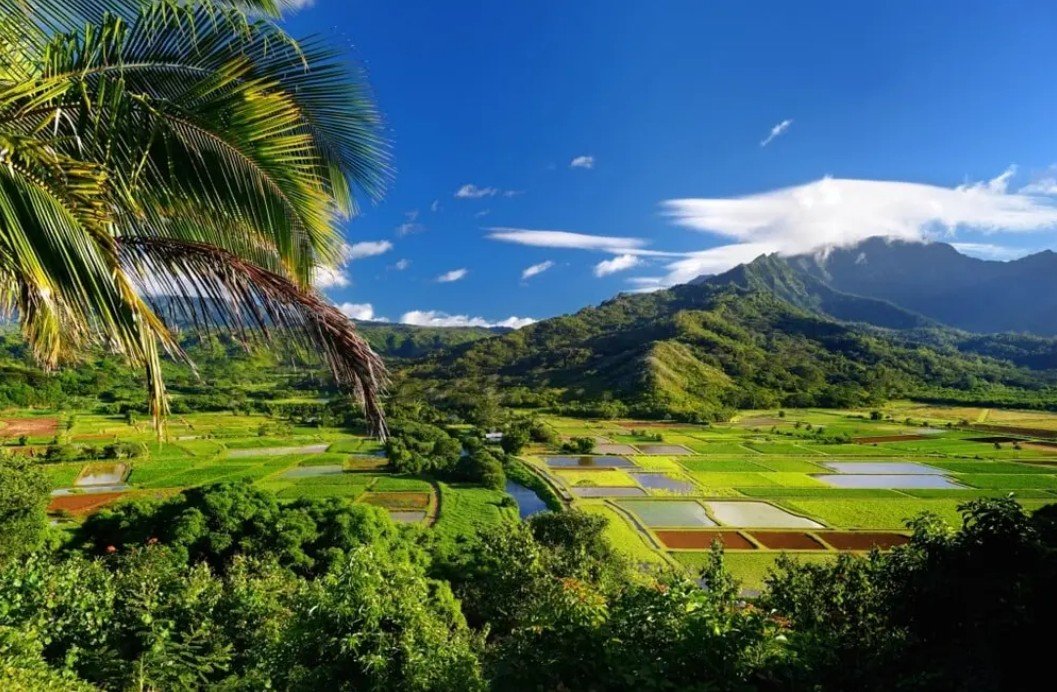 KAUAI’S NORTH SHORE GEMS – Pure Eye Candy! Private Tour f-7