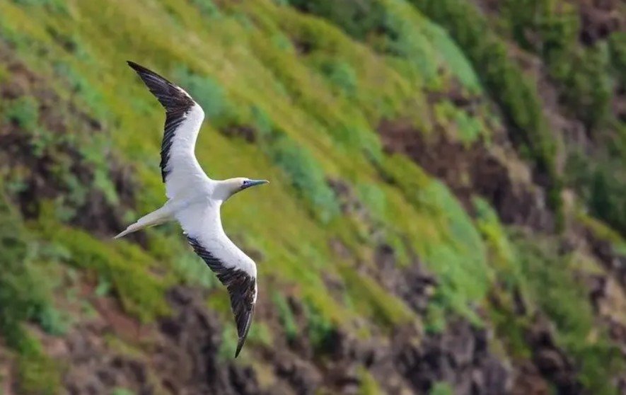 KAUAI’S NORTH SHORE GEMS – Pure Eye Candy! Private Tour f-9