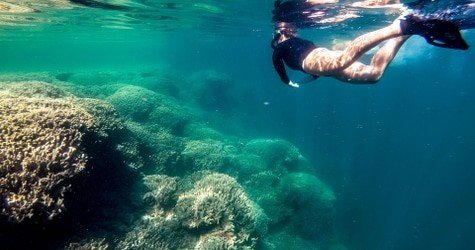 Kaneohe Bay Coral Reef Self-Guided Kayaking Adventure f-6