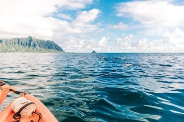 Kaneohe Bay Sandbar Kayak Rental f-9