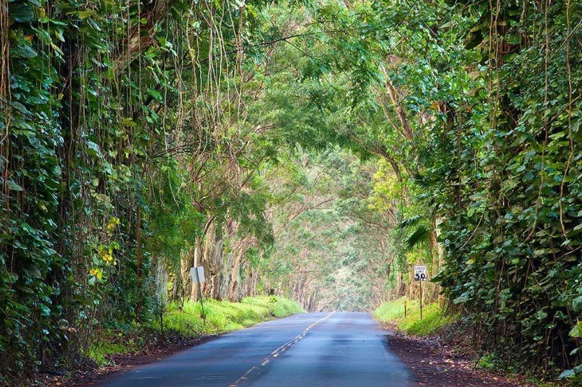 Kauai Waimea Canyon & South Shore Guided Tour f-2