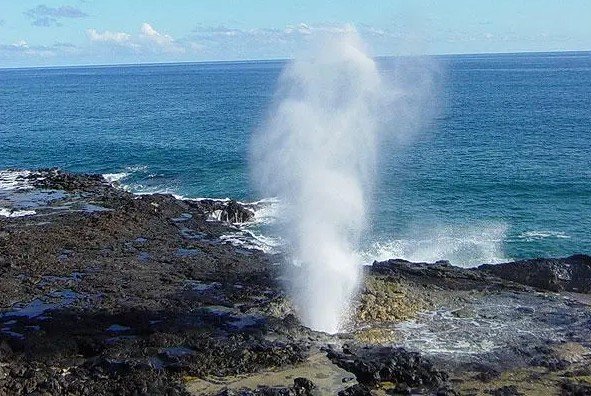 Kauai Waimea Canyon & South Shore Guided Tour f-3