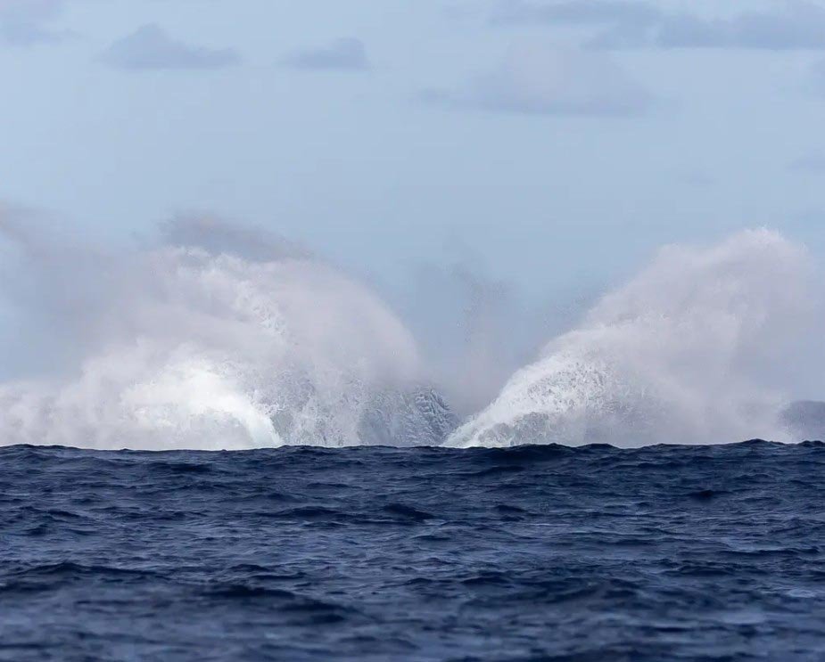 Kauai’s Ultimate SOUTH SIDE Whale & Dolphin Zodiac Boat Adventure f-2