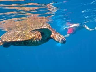 Kayak Snorkel Ocean Safari f-1