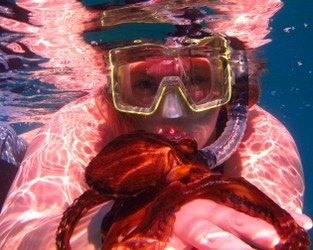 Kayak Snorkel Ocean Safari f-3